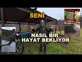Lagu Kırsalda Seni Nasıl Bir Hayat Bekliyor