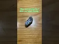 Download Lagu My pet rocks can be smart sometimes 🤫 #shorts #petrock #cute