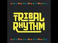 Tribal Rhythm (Kim Ann Foxman Remix)