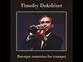 Adagio in G Minor (Attributed to Tomaso Giovanni Albinoni, Transcr. by Timofey Dokshizer)