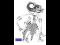 wayang kulit dalang ki anom suroto jaman biyen kawak tenan