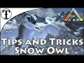 Fast Snow Owl Taming Guide Ark Survival Evolved Tips and Tricks