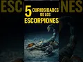 Lagu 5 CURIOSIDADES DE LOS ESCORPIONE