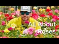 All About Roses North Texas Rose Guide Let s Grow Together - Covington s
