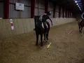 Clara ('Mille') samler op fra hesteryg (Amistar)