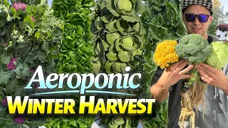 This Is What Aeroponic Towers Grow in Winter