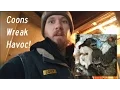 Raccoons Wreak Havoc in Pierceton Indiana Cabin