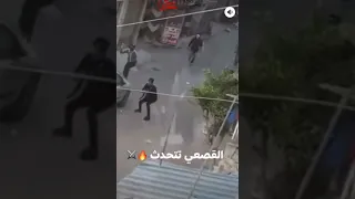 القصعي تتحدث عركه اسكندريه المحروسه والقصعي دندنها