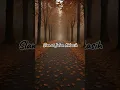 Download Lagu Lirik Lagu Rita Effendy - Selamat Jalan  Kekasih #liriklagu #lirik