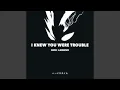 I KNEW YOU WERE TROUBLE HARDSTYLE