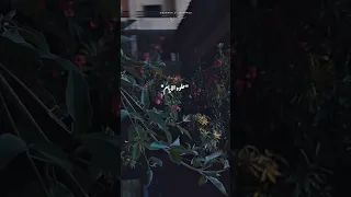  بس انت محليها اكتر واكتر           الهضبة  الهضبة عمرو دياب  عمرودياب  عمرو دياب            الهضبه دندنها