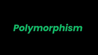Mastering Polymorphism in Python Method Overriding and Duck Typing Explained