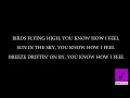 Michael Buble - Feeling Good (Karaoke FEMALE KEY)