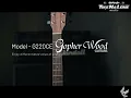 Gopher Wood Acoustic Guitar ( G220CE )