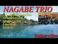 Download Lagu Lagu Batak Tumagon ma jomblo. #nagabetrio
