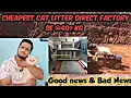 Cheapest Cat litter in India GooD news Bad news fluffycats
