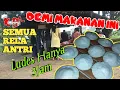 Download Lagu Resep Kue Serabi gampang,mudah,enak, Auto Laris manis .....