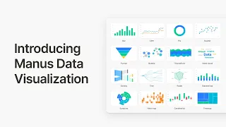 Introducing Data Visualization for Manus