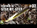 How to Identify Bird Feathers in the Field KNOW