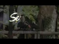 Sebastiann - Live Recording (14.06.2025) #afrohouse #djset