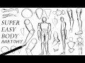 BODY ANATOMY SUPER BEGINNERS CHECK THIS TRICK TUTORIAL