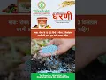 Lagu Dharani #farming  /-DINESH KUMAR Mb 7223075616
