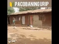 Lagu Pacubaning Urip (Lagu Jawa Suriname)