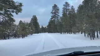 Arizona Near Heber-Overgaard