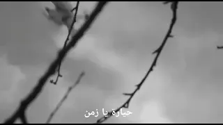 نجاه الصغيره على طرف جناحك يا حمامي تصميمي 