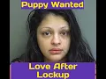 Puppy Arrested Puppy Wanted Love After Lockup