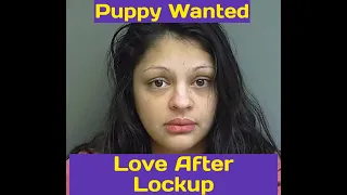 Puppy Arrested Puppy Wanted Love After Lockup