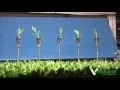Download Lagu Visser Horti Systems - Select O Mat Basic - van Egmond