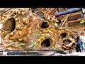 Download Lagu How to Saw Age-Old Mahogany: From Giant Log to Stunning Masterpiece
