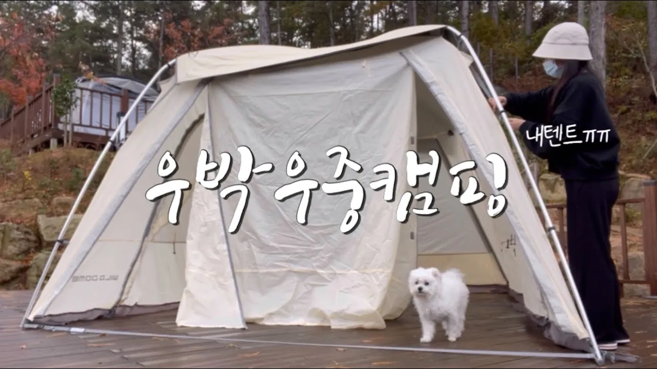 ⛈신상텐트 개시했는데 비에 우박까지 내리네 | 제드코리아 와일드돔ex | 솔로캠핑.초대캠핑| 우중캠핑 | 애견동반캠핑 | 영암 국민여가캠핑장 サムネイル