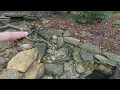 How I Built My BackYard Bird Spa