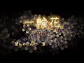 tuki.『一輪花』【歌詞動画】