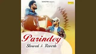 parindey slowed u0026 reverb