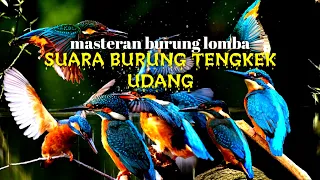 Download Masteran Tengkek Raja Udang Paling dicari MP3