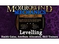 Levelling - Morrowind Mechanics