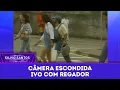 Download Lagu Ivo com Regador | Câmeras Escondidas (24/09/25)