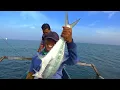 Download Lagu Mancing Dapet Ikan Seperti Ini,,Tarikan nya Gilaa,,Sampek Mau DoL Reel nya