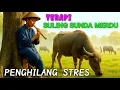 Download Lagu KECAPI SULING SUNDA TERAPI PENGHILANG STRES #sulingsunda