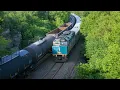 CN 306 Meets VIA 53 Post-Pedestrian Collision Kingston Sub Traffic