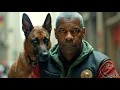 The Equalizer 4 Denzel Washington newly released action movie2026 Fact And Review ong4