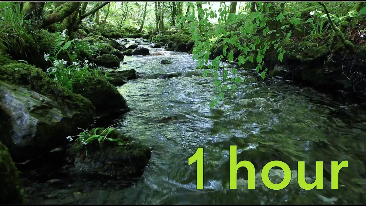 Nature Sounds of a Forest River for Relaxing-Natural meditation music of a Waterfall & Bird Sounds Nature Sounds of a Forest River for Relaxing-Natural meditation music of a Waterfall & Bird Sounds