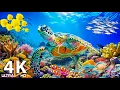 Lagu Under The Sea 4K - Prachtige koraalriffen, zeedieren en ontspannende muziek #12