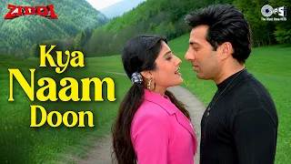 O Haseena Kya Naam Doon | Ziddi | Sunny Deol, Raveena Tandon | Kumar Sanu, K. S. Chithra
