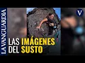 Images of the dangerous accident involving cyclist Cecilia Sopena