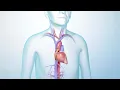 How to Manage Heart Failure