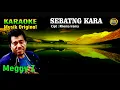Lagu KARAOKE II SEBATANG KARA II MEGGY Z #dangdut #original #karaoke
